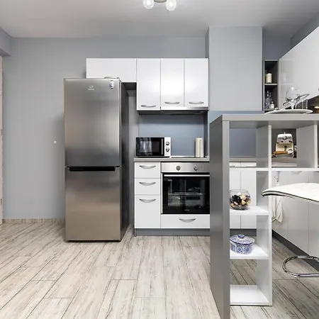 公寓 Super Center Flat Parchevich 普罗夫迪夫