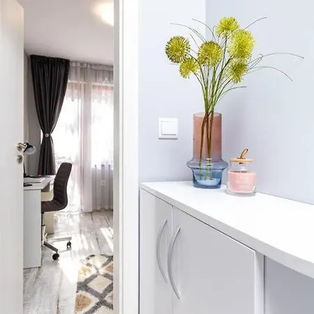 公寓 Super Center Flat Parchevich