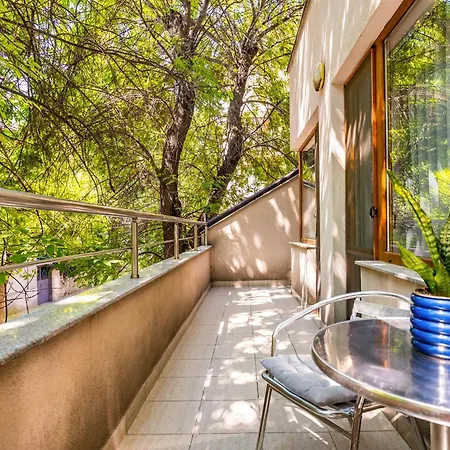 公寓 Super Center Flat Parchevich